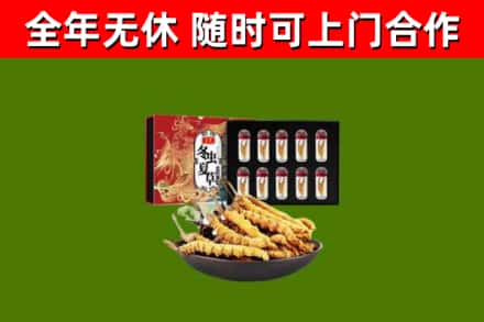 福州回收冬虫夏草价格